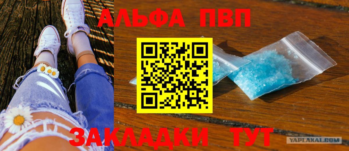 A-PVP СК КРИС Котлас