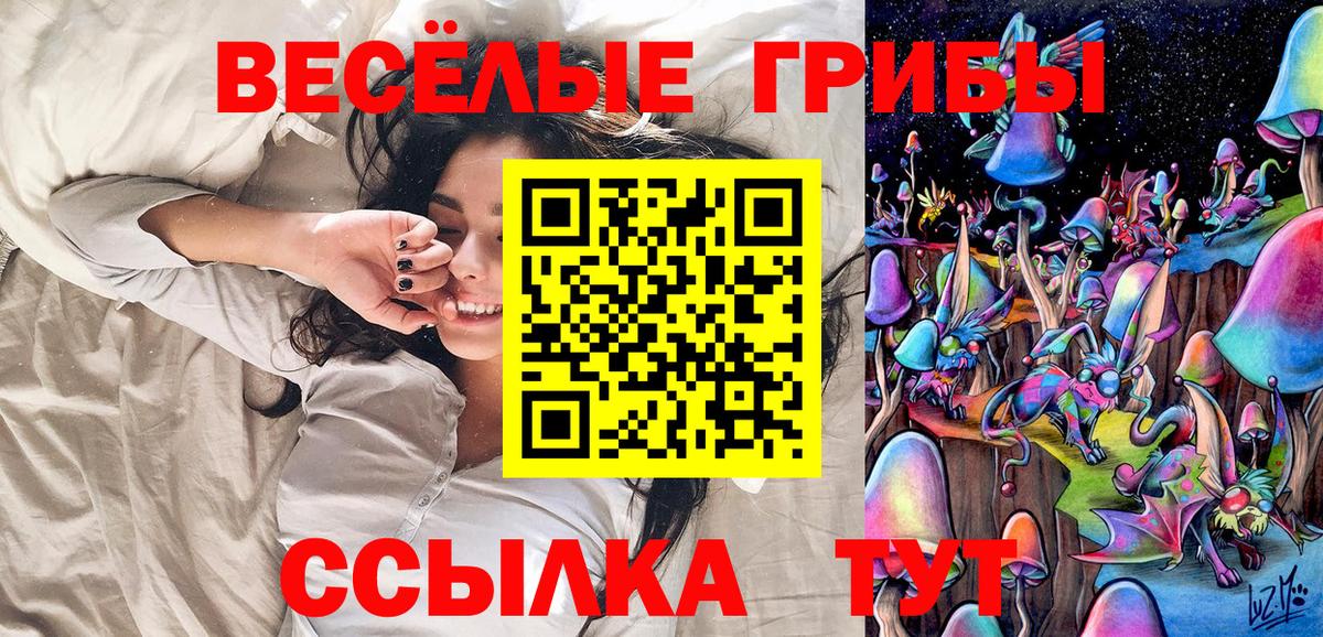 Псилоцибиновые грибы Cubensis Котлас